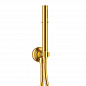 Душевой набор со встраиваемым смесителем CEZARES ECO-DSET-BORO брашированное золото