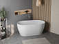 Отдельностоящая овальная акриловая ванна в комплекте со сливом-переливом BelBagno BB413-1700-800