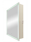 Зеркало-шкаф с подсветкой ART&MAX TECHNO AM-Tec-600-800-1D-L-DS-F